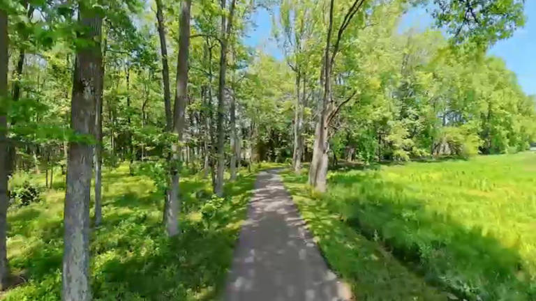 Heat wave brings swarms of bugs, but experts say you shouldn't kill ...
