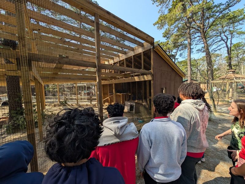9 wildlife rescues in New Jersey that let you meet animals face-to-face