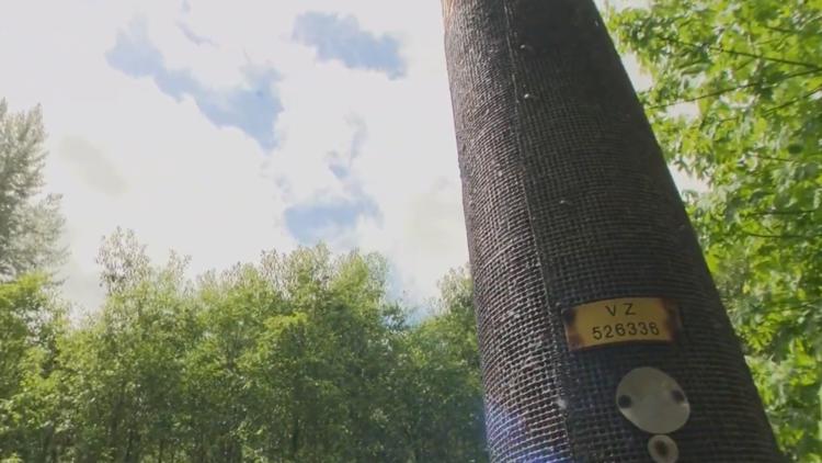 What's that mesh wrapped around power poles? Meet PGE's solution to ...