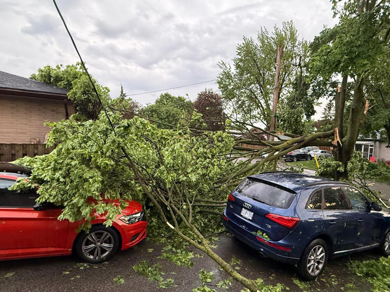 Cleanup begins after severe storms roll through southwestern Ontario ...