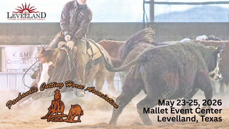 Cutting horse competition returns to Levelland