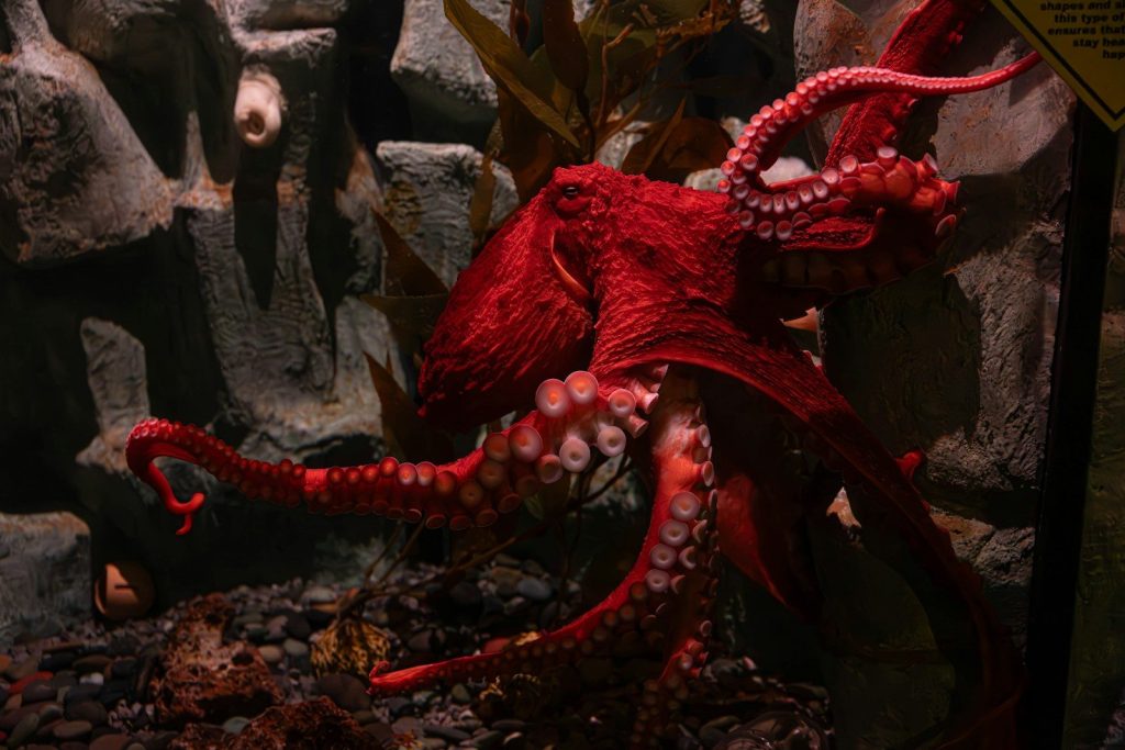 7 animal facts that sound fake (but are completely true)