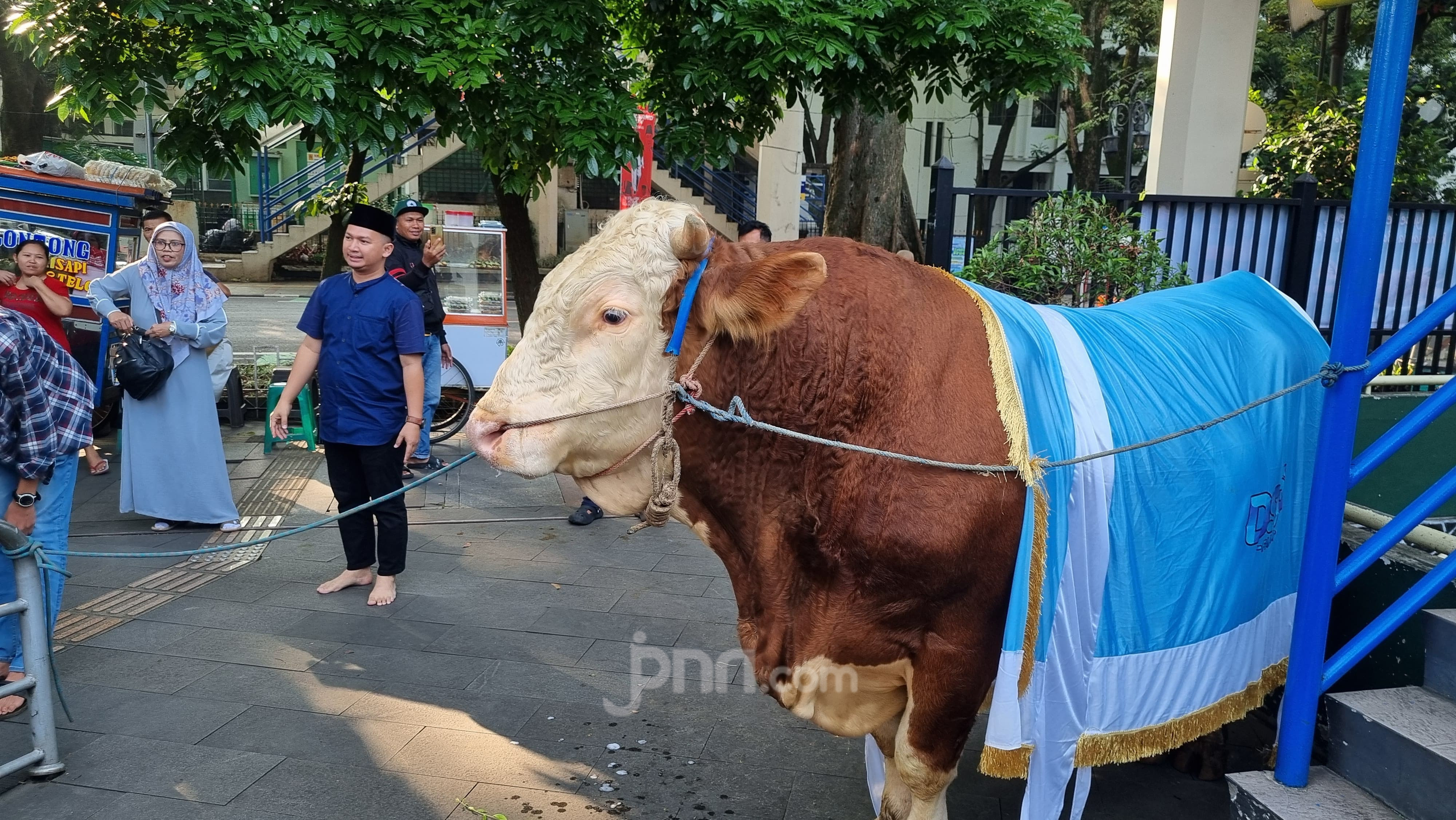 sapi-kurban-presiden-prabowo-dari-bandung-berbobot-1-2-ton