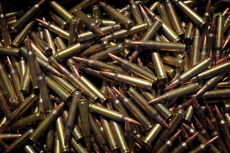 What the military quietly learned about the 5.56 that changed how ...