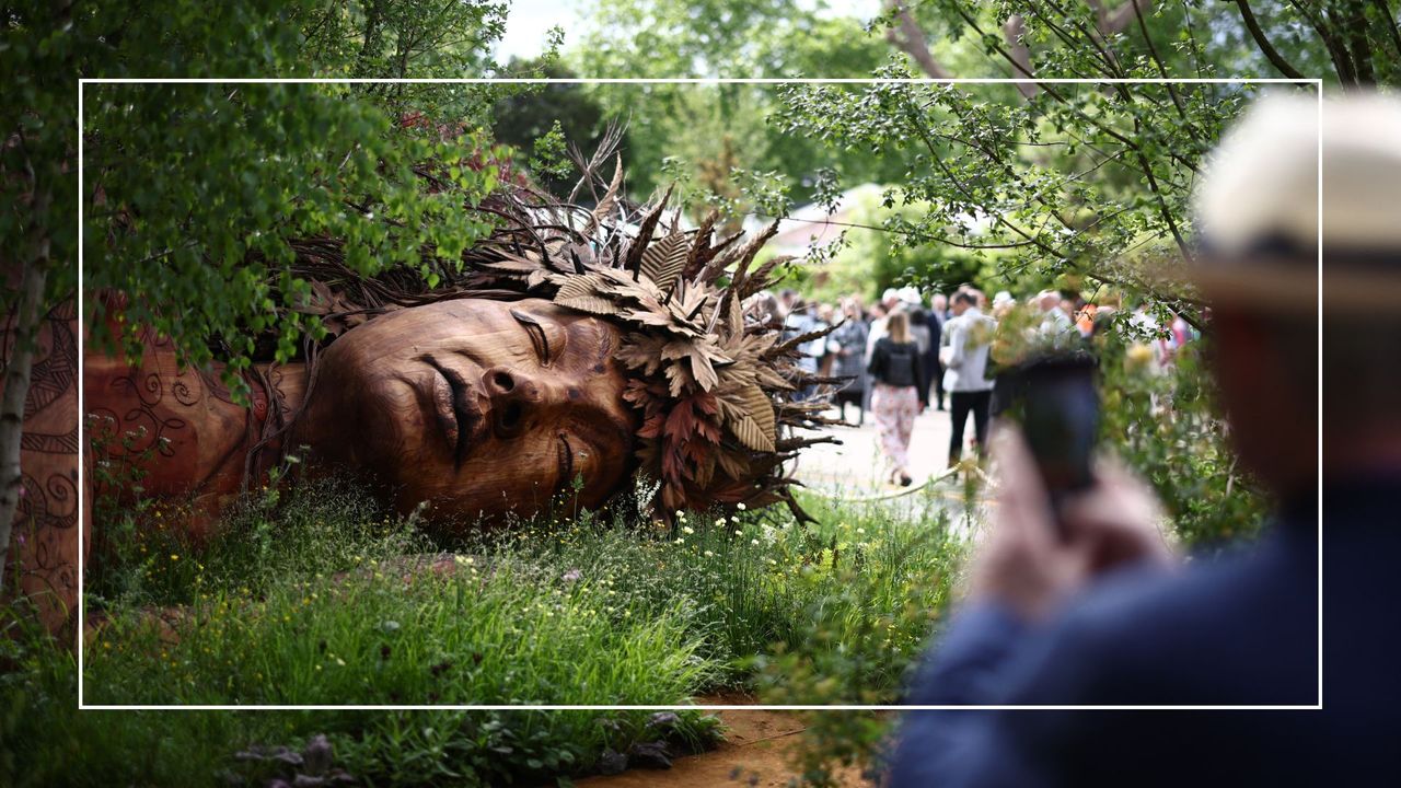 Meet the unexpected, award-winning star of this year's RHS Chelsea ...