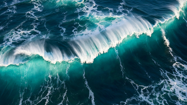 How 'rogue holes' are reshaping what we know of the ocean