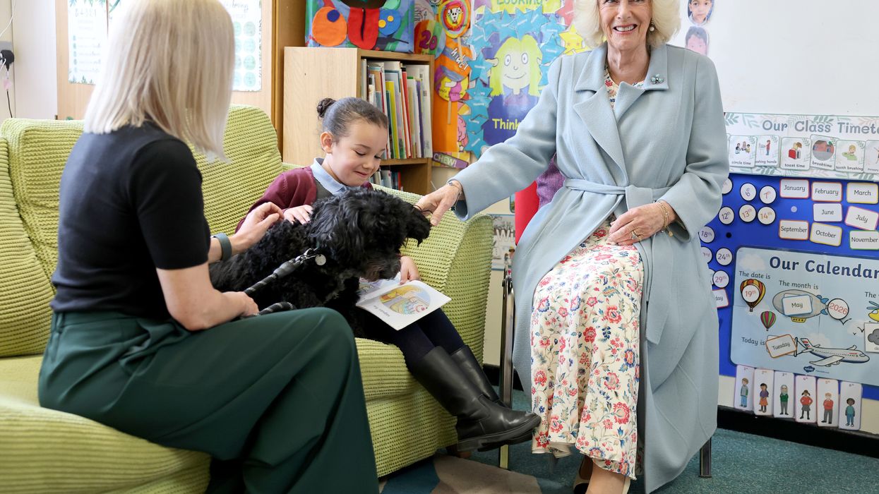 Queen meets therapy dog on visit to school in Northern Ireland