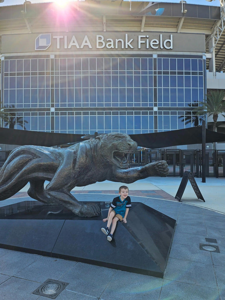 Touchdown the Jaguar headed to safe location while Stadium of the ...