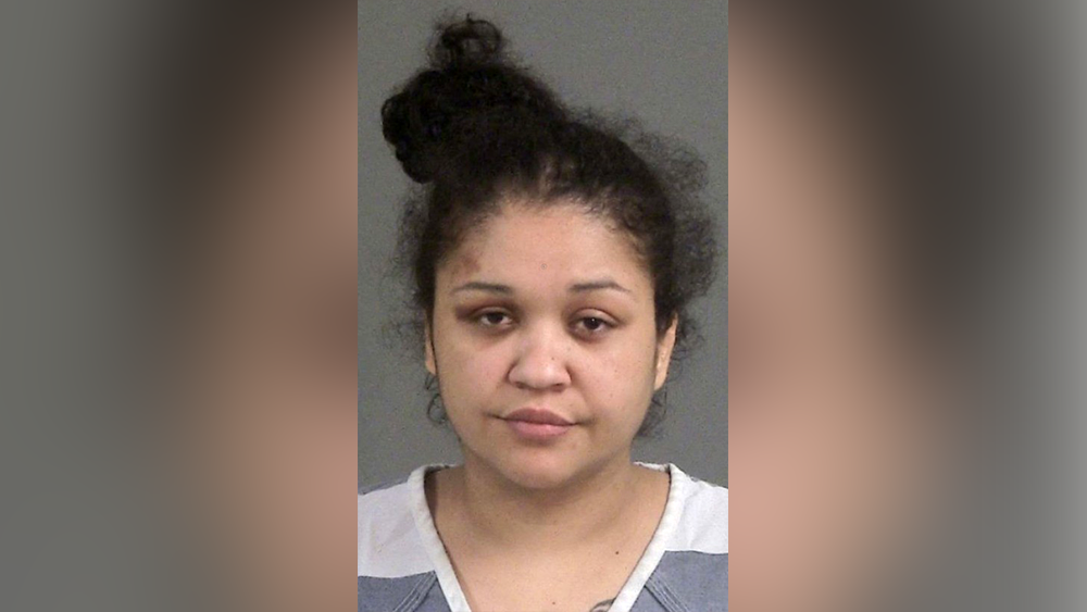 South Carolina mom arrested after children found in hot car beside ...