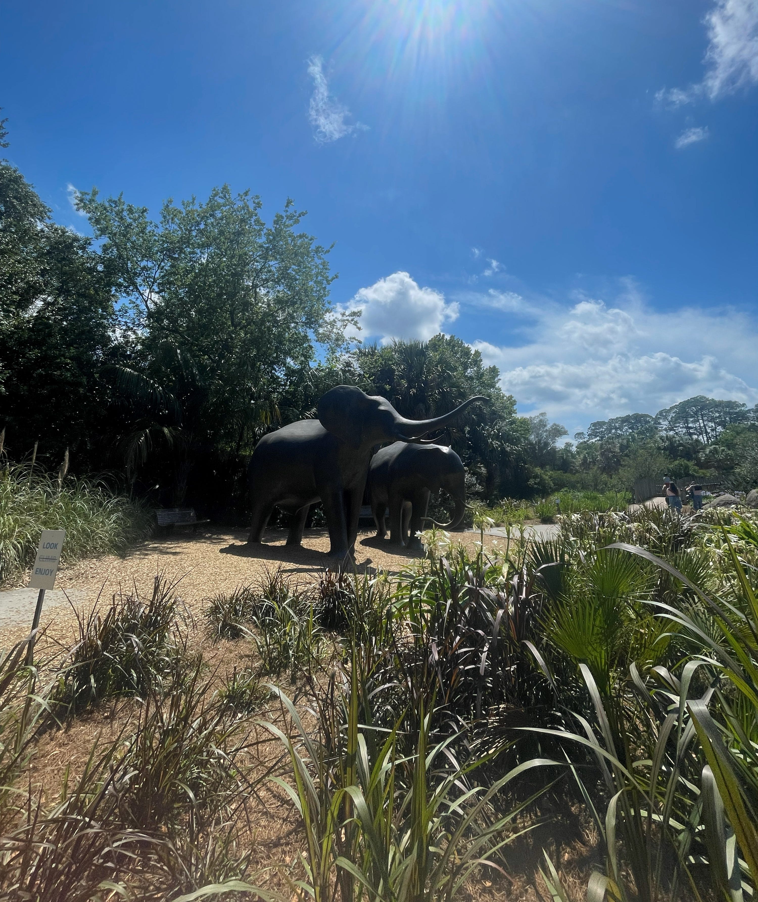 Michael Jackson’s elephant lives at a Florida zoo, so we visited him