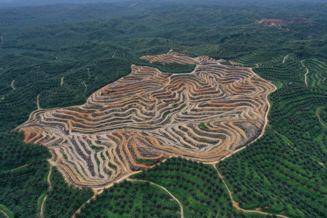 We reviewed 48 ‘low carbon’ projects and found they were becoming part ...