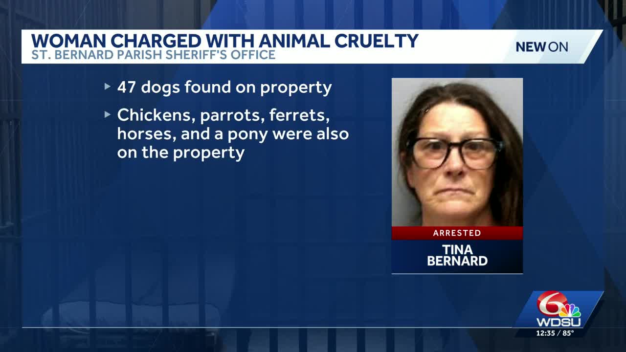St. Bernard woman arrested, accused in animal cruelty investigation