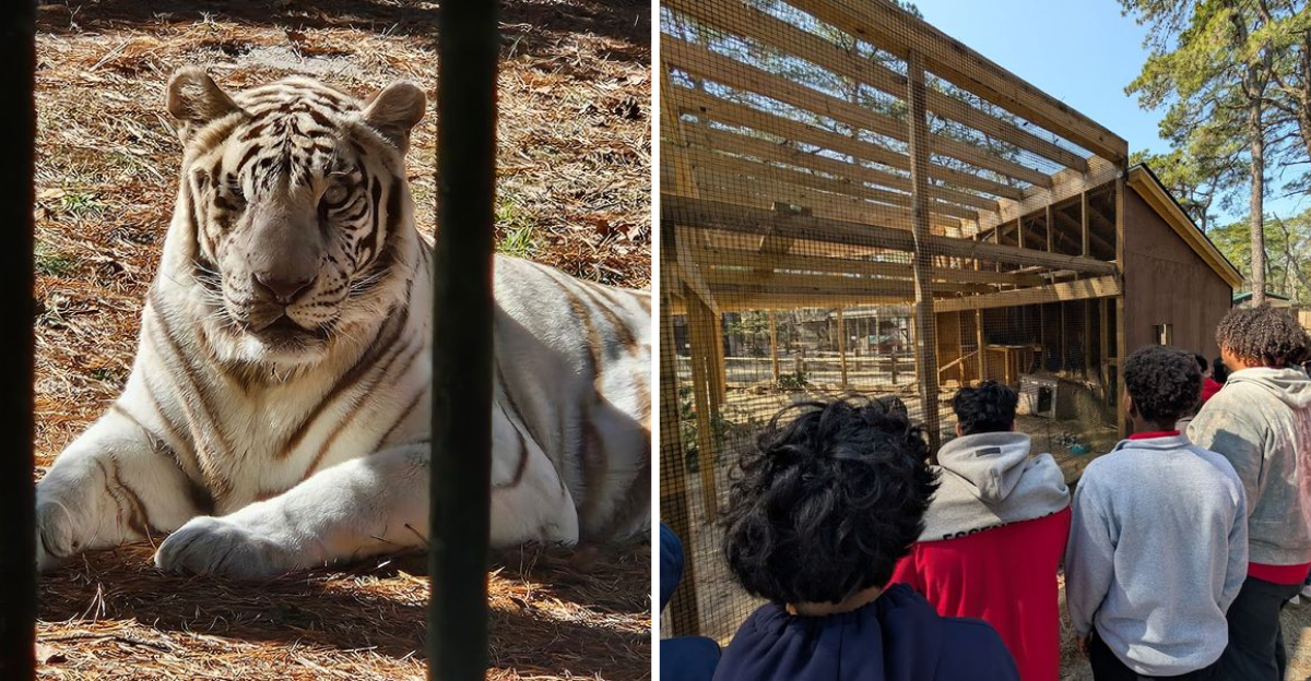9 wildlife rescues in New Jersey that let you meet animals face-to-face