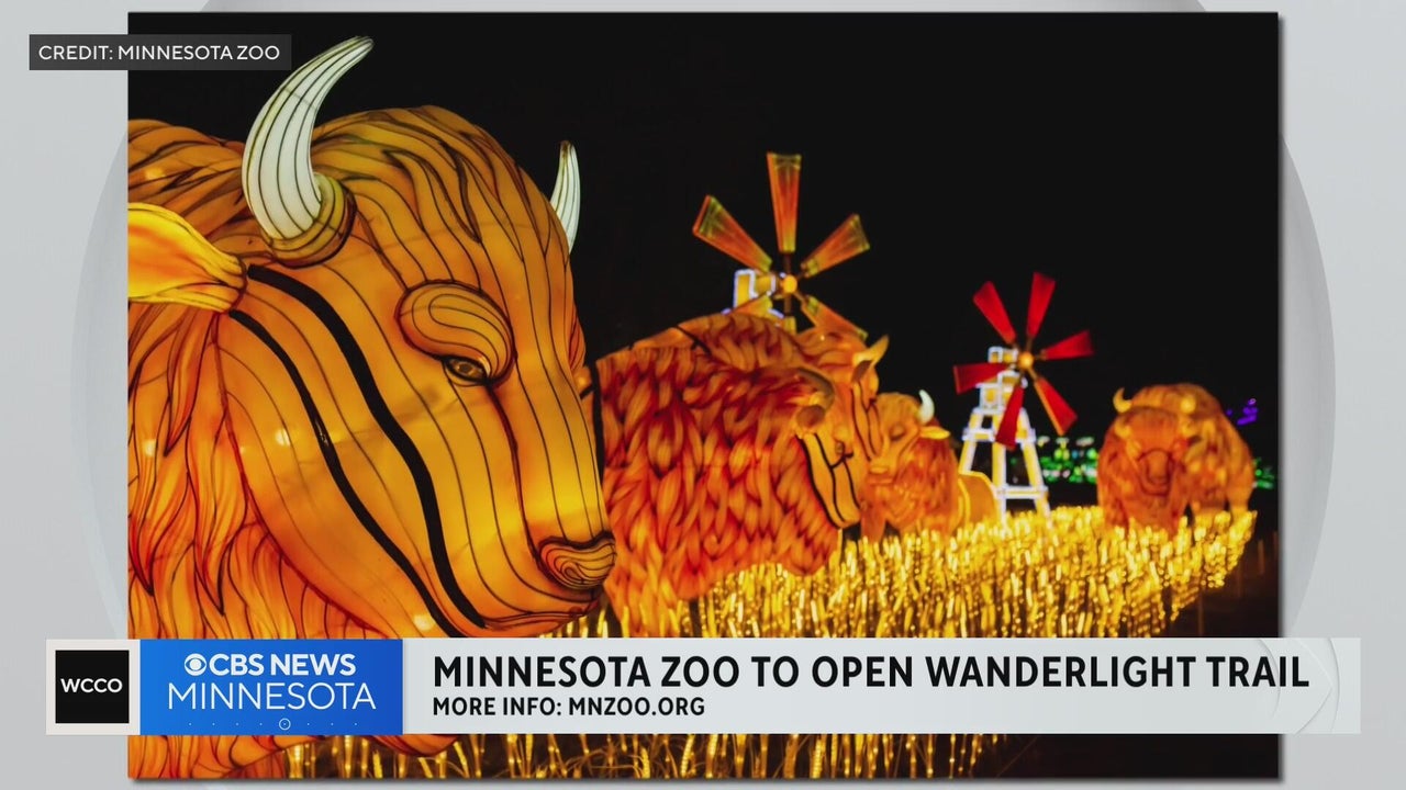Minnesota Zoo previews its new Wanderlight Trail immersive experience