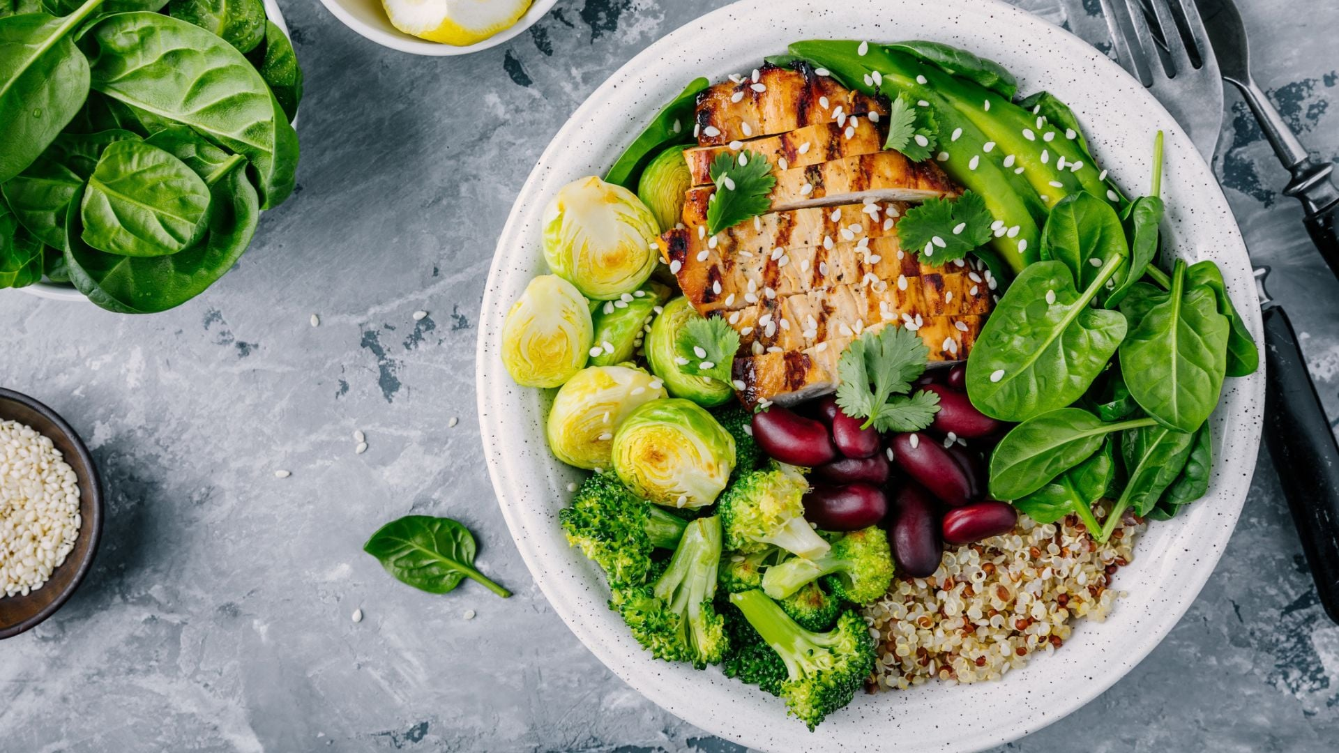 The smart plate: Your guide to a healthier happier stomach
