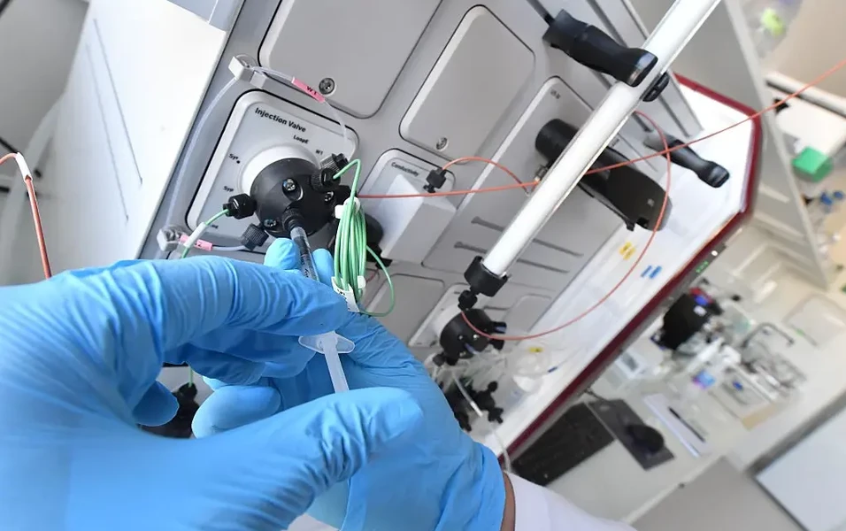 DNA and RNA decoded for curious minds