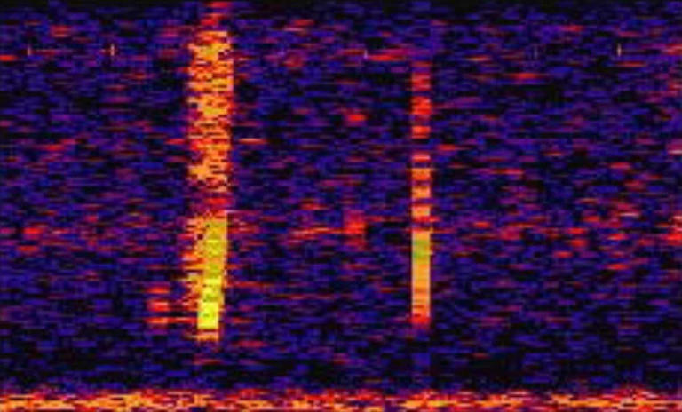 In 1997, NOAA recorded a sound louder than any known animal