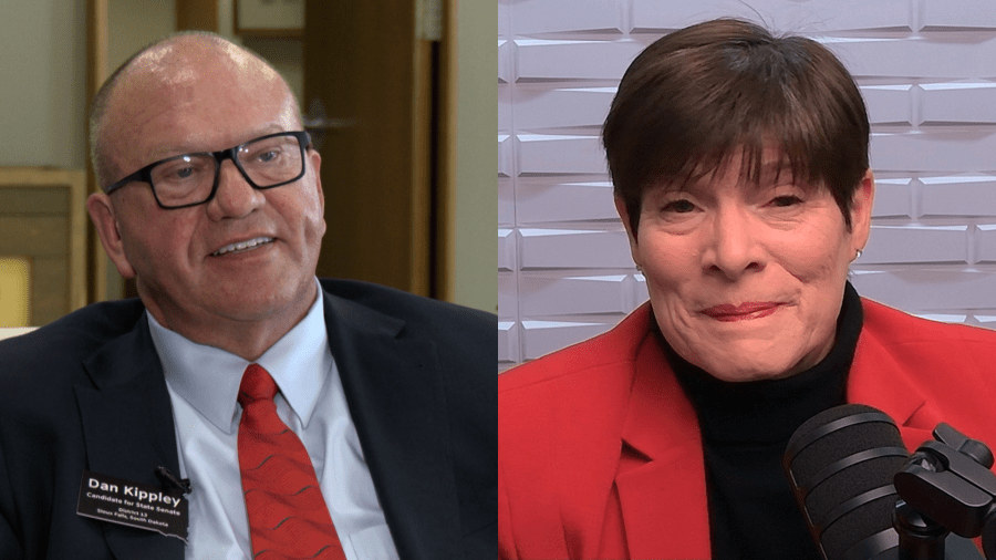 Kippley challenges Peterson in District 13 Senate contest