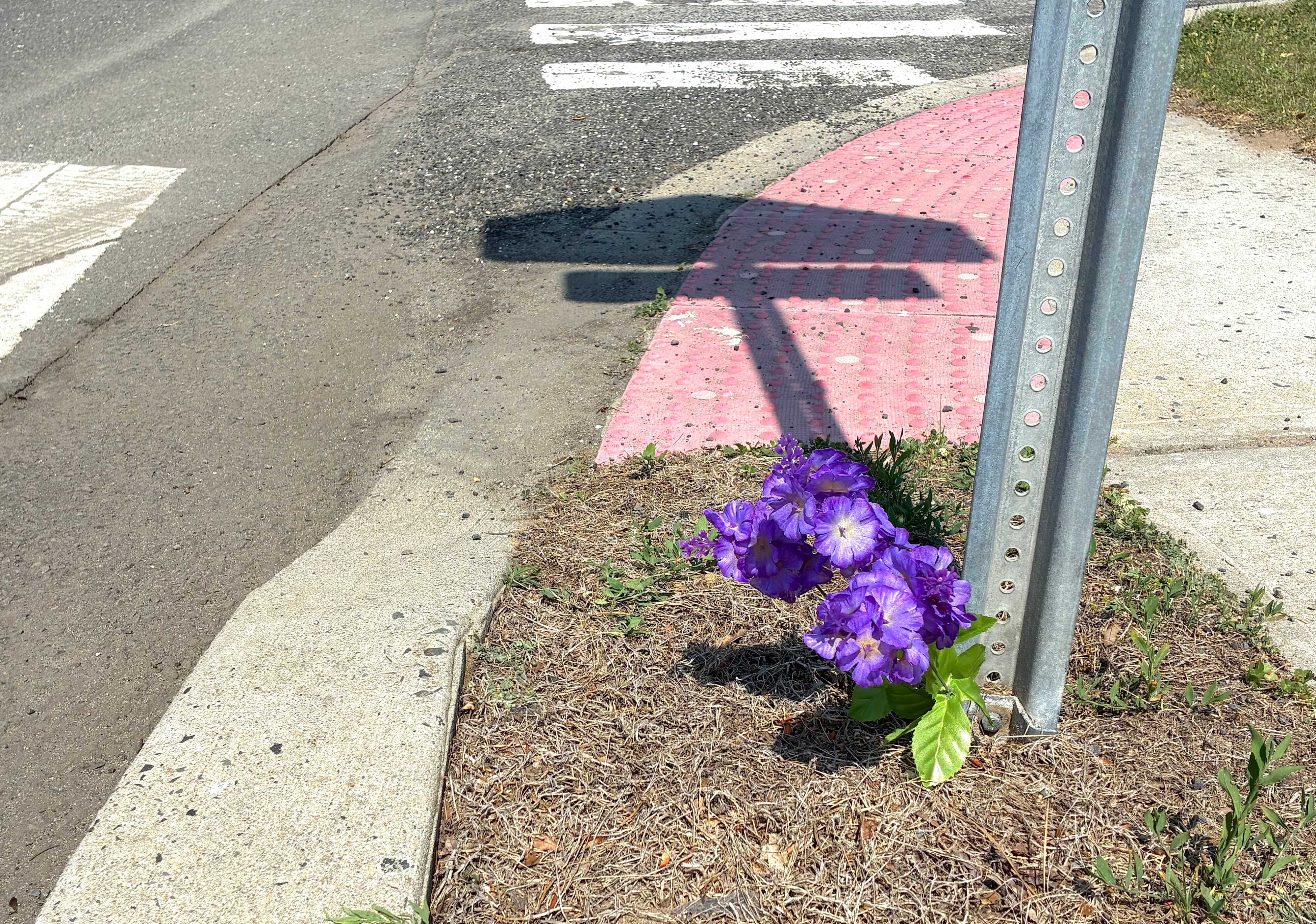 Child bicyclist killed by juvenile driver in hit-and-run crash ...