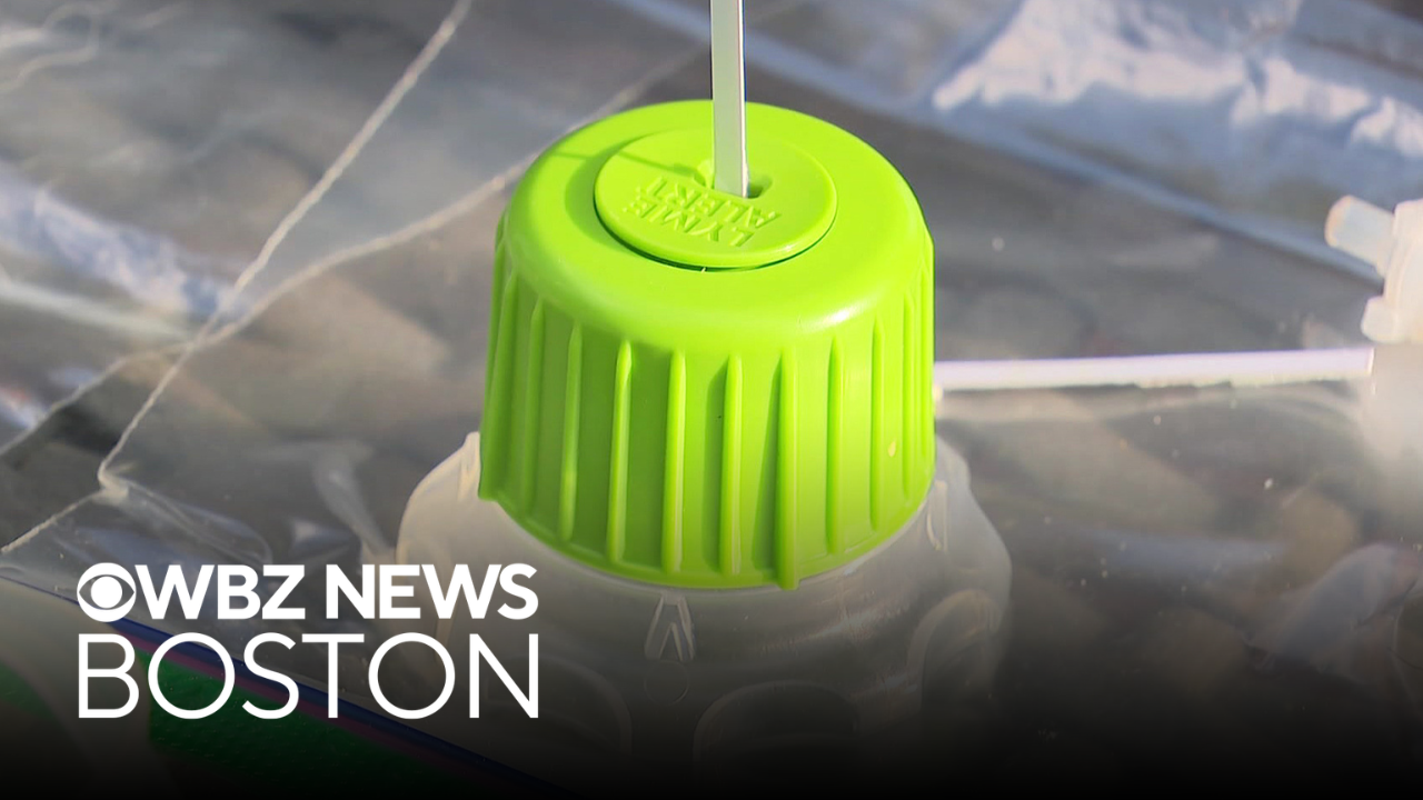 At-home tick test for Lyme disease being launched this summer