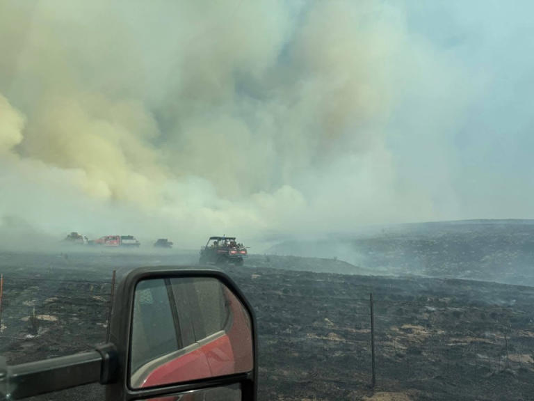 Southwest Kansas wildfires: Firefighters gain ground as conditions improve