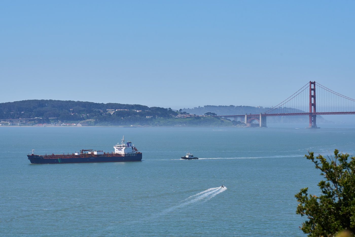 A new whale detection network launches in San Francisco Bay, alerting ...