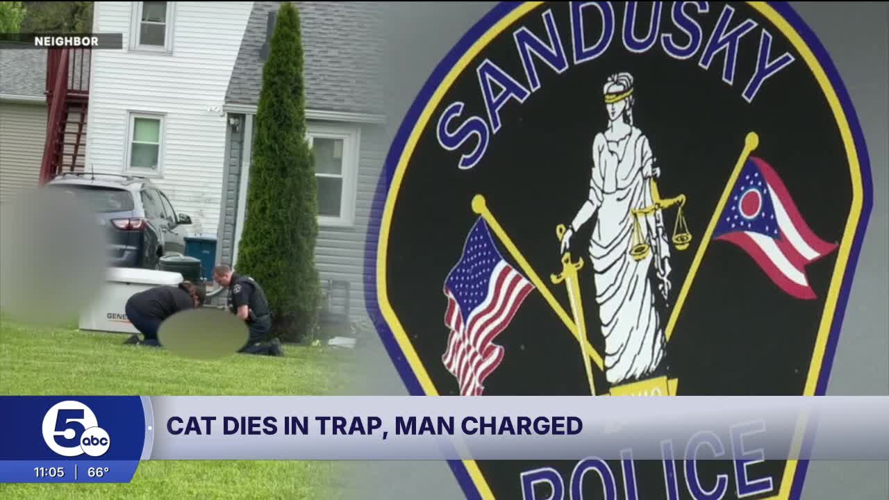 Sandusky man facing felony charges after cat dies in trap he set to ...