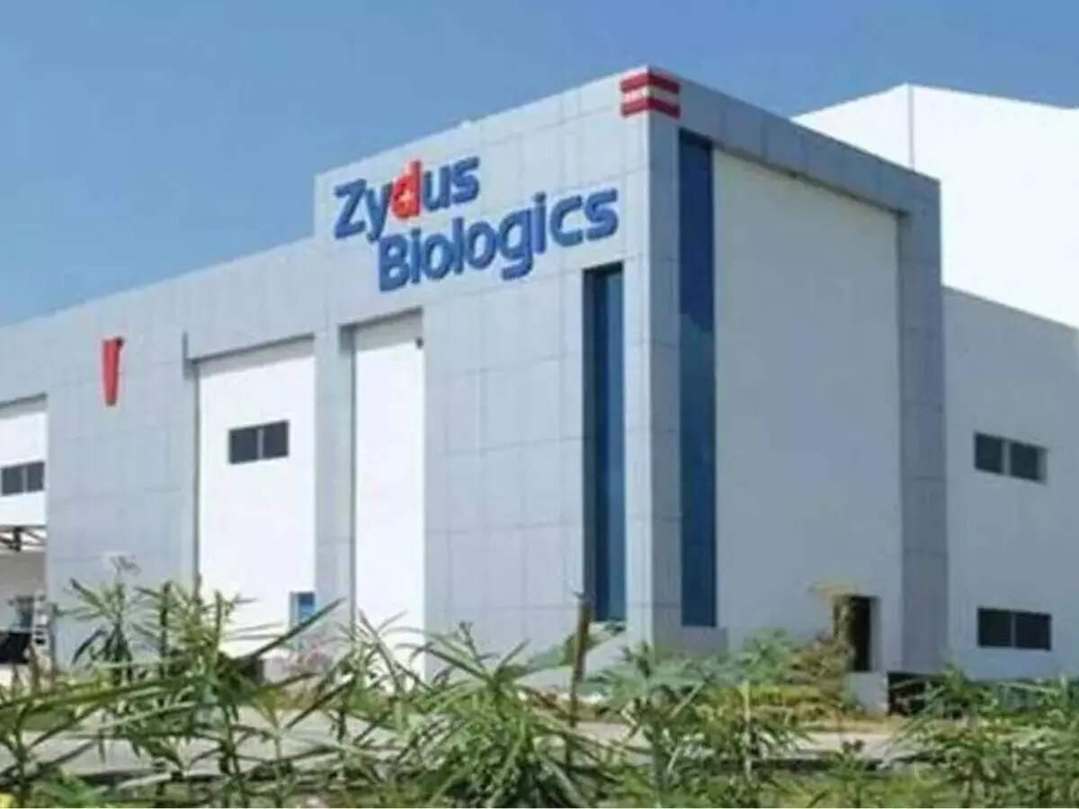 Zydus Lifesciences shares soar 7% to fresh record high after Q4 results ...