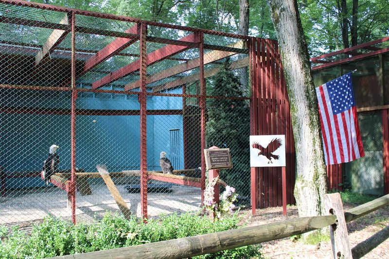 9 wildlife rescues in New Jersey that let you meet animals face-to-face