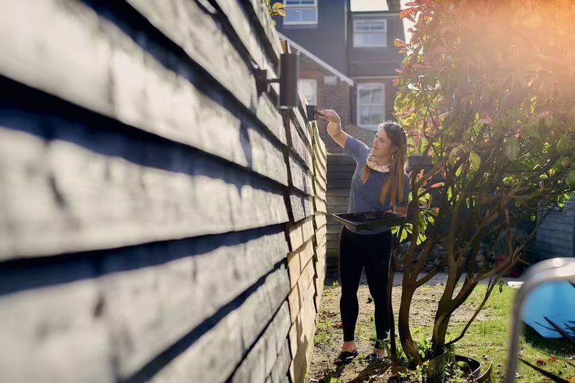 What the law says about painting a shared garden fence without asking