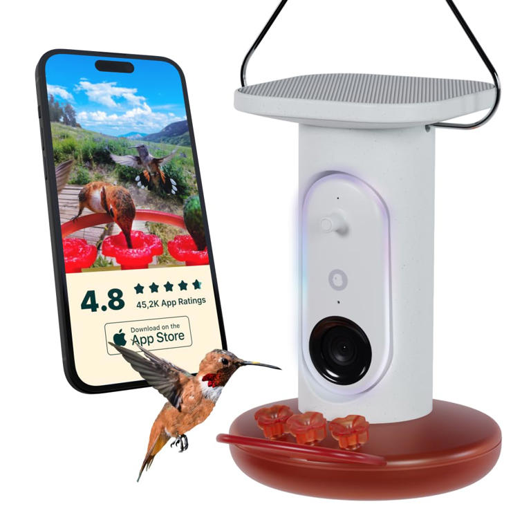 This smart hummingbird feeder captures tiny bird selfies in real time