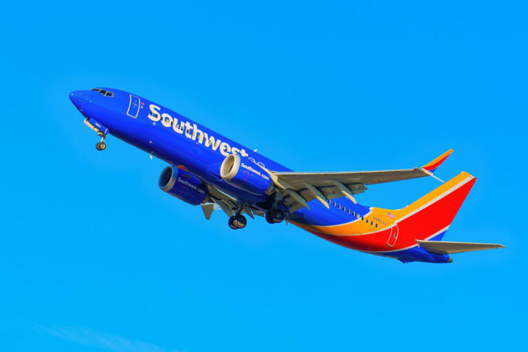 Southwest makes major policy change after ‘human-like’ robot books ticket