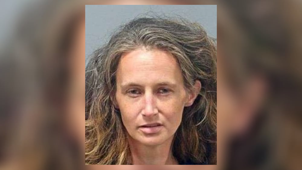 Authorities, Equusearch Midwest looking for endangered missing woman in ...