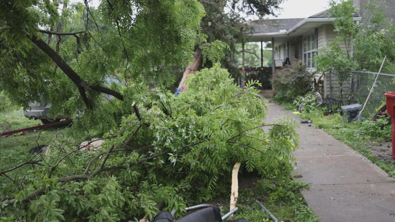 Orrick family escapes injury as trees fall around home during severe ...