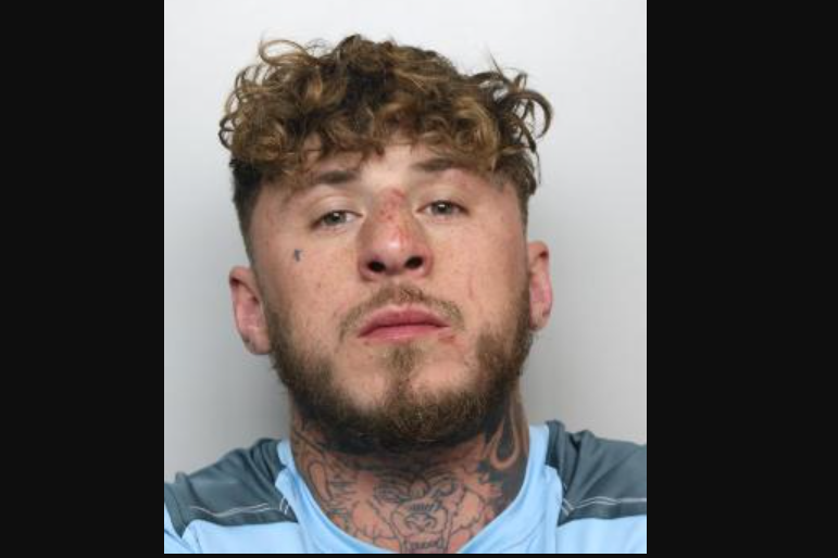 Driver who led police on chase before ramming cars and fleeing into ...