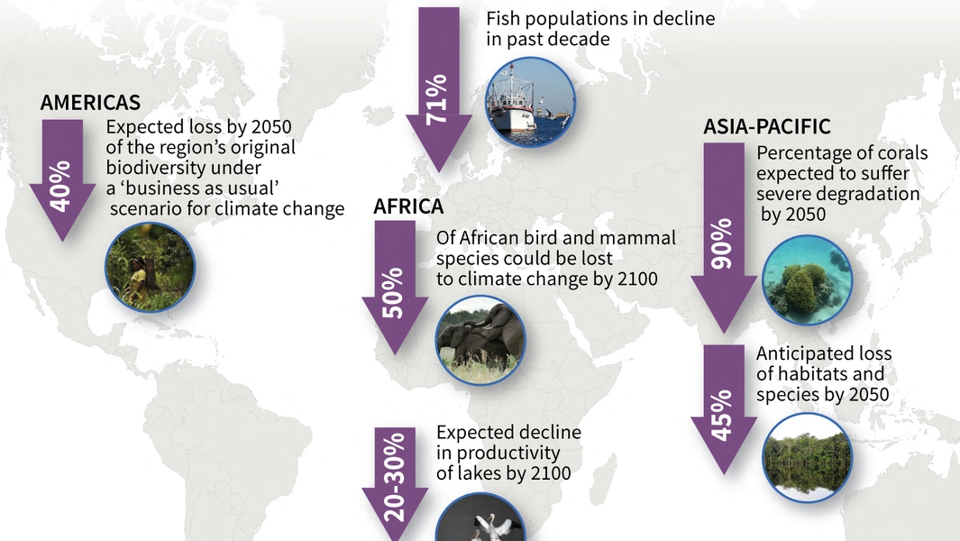 Scientists warn human activity could trigger sixth mass extinction