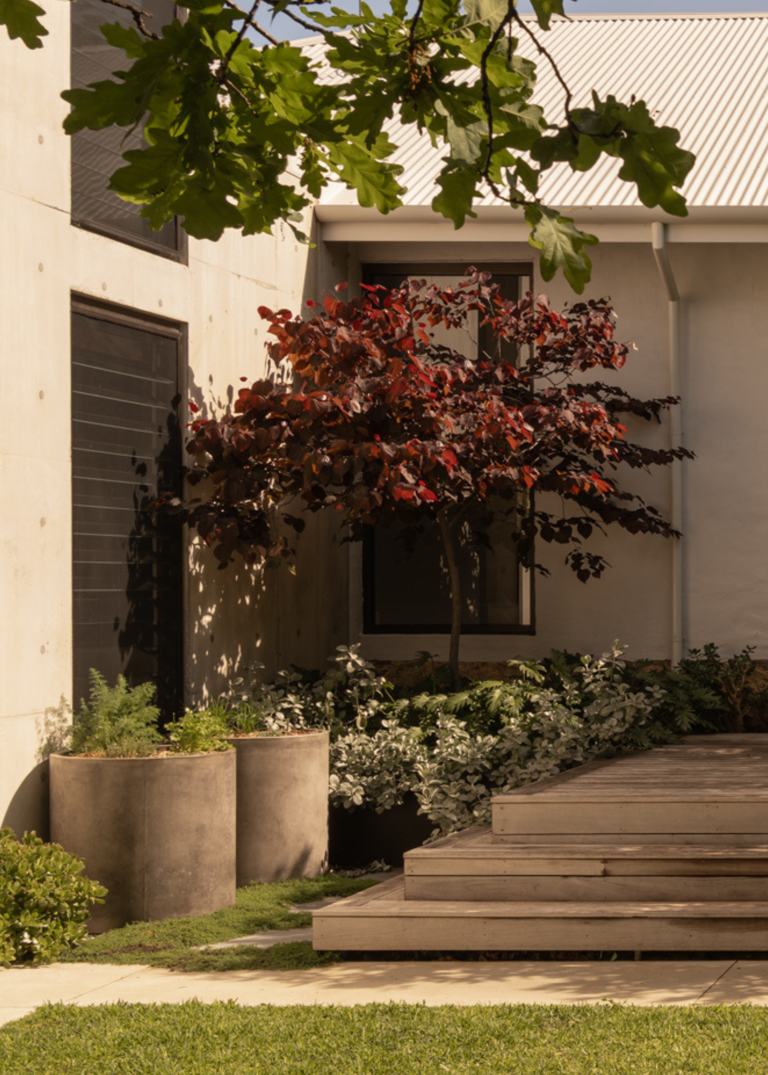 4 colors that are good for your garden according to feng shui