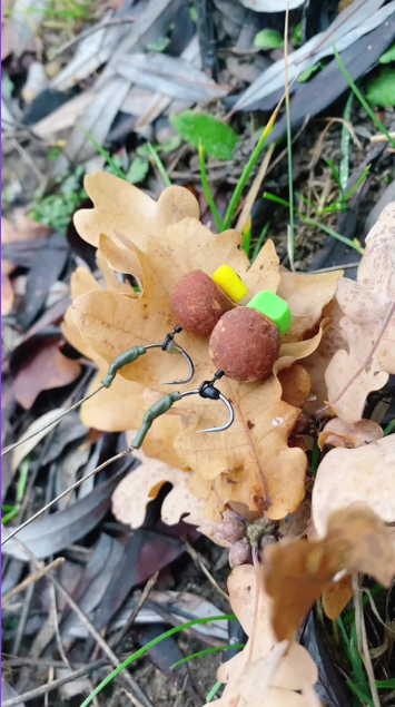 Carp rig perfection