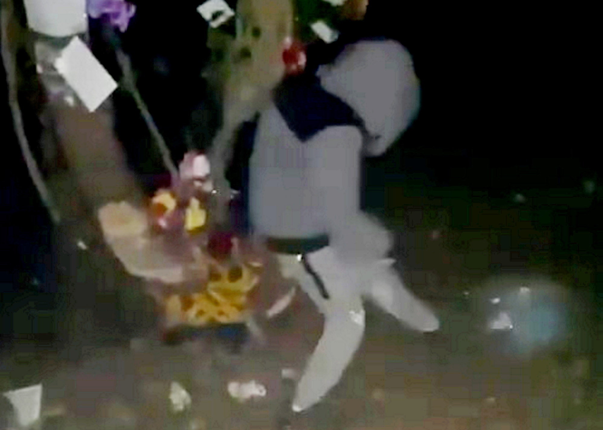 Teen filmed destroying memorial for boys killed in crash
