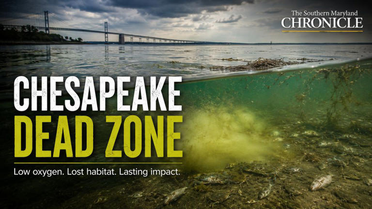 Smaller-than-average dead zone expected in Chesapeake Bay this summer