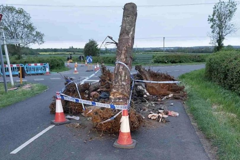 Large tree dumped in Leicestershire road in 'dangerous' fly-tipping ...