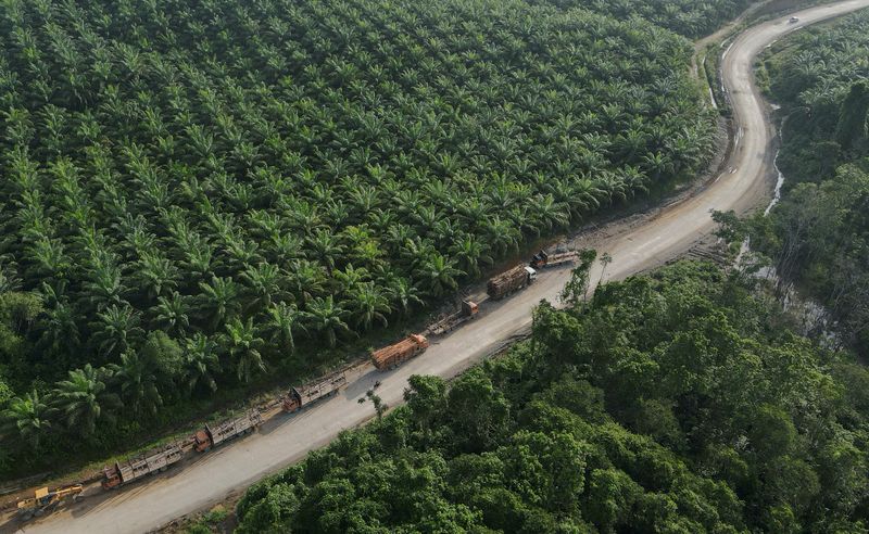 Indonesia to bring commodity exports under centralised control ...