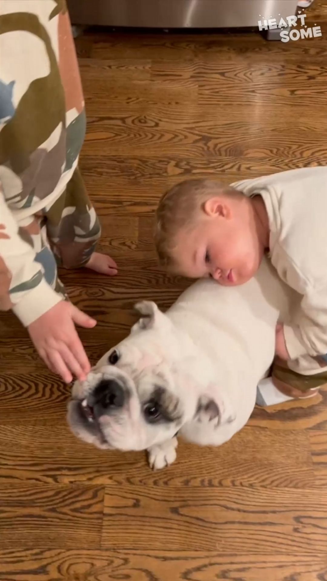 This toddler reunion with their dog is pure joy