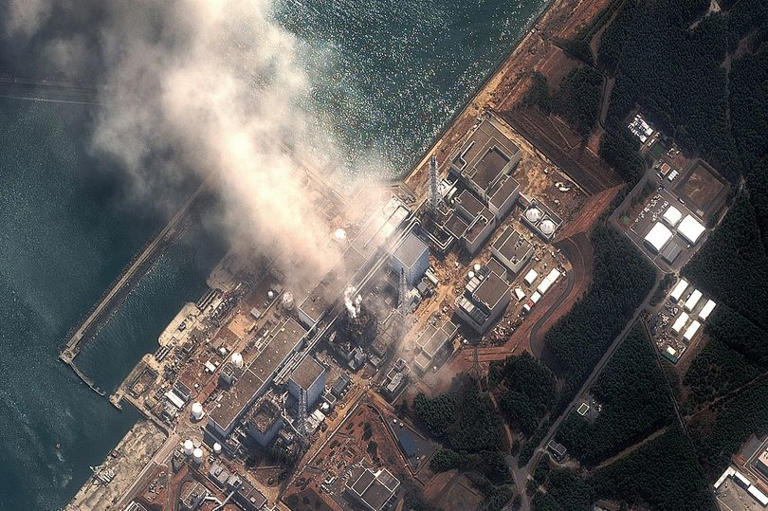 Mutant 'super pigs' breeding at uncontrollable levels in nuclear ...