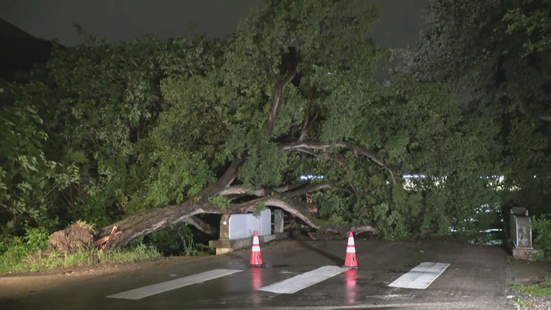 Tree blocks bridge near Shoal Creek Boulevard in Austin after Tuesday ...