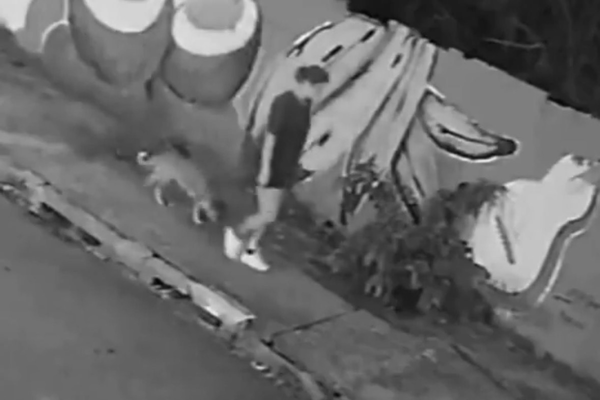 Video – Brasile, porta a spasso il cane ma viene inghiottita da un tombino