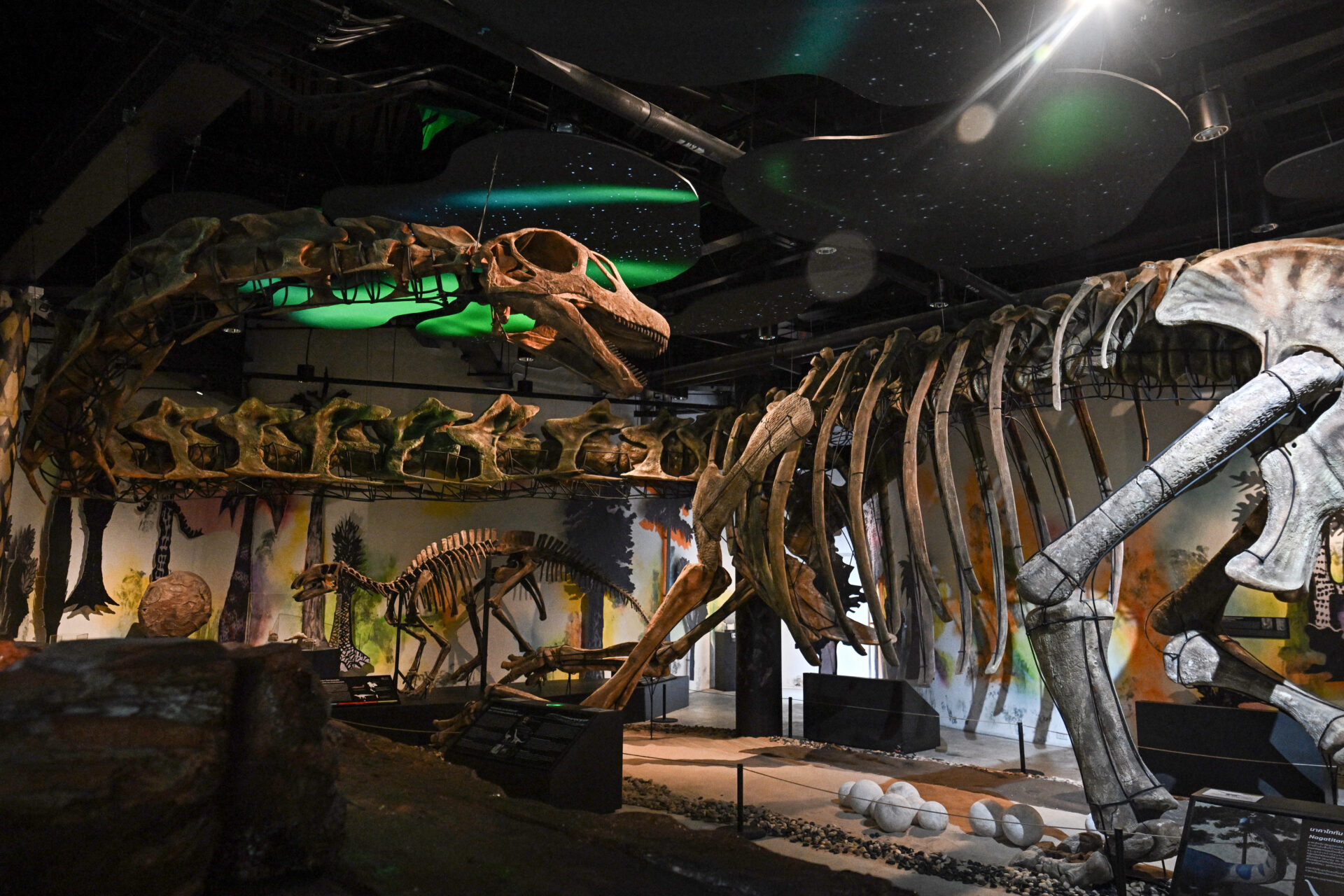 Une nouvelle espèce de dinosaure géant apparaît en Thaïlande