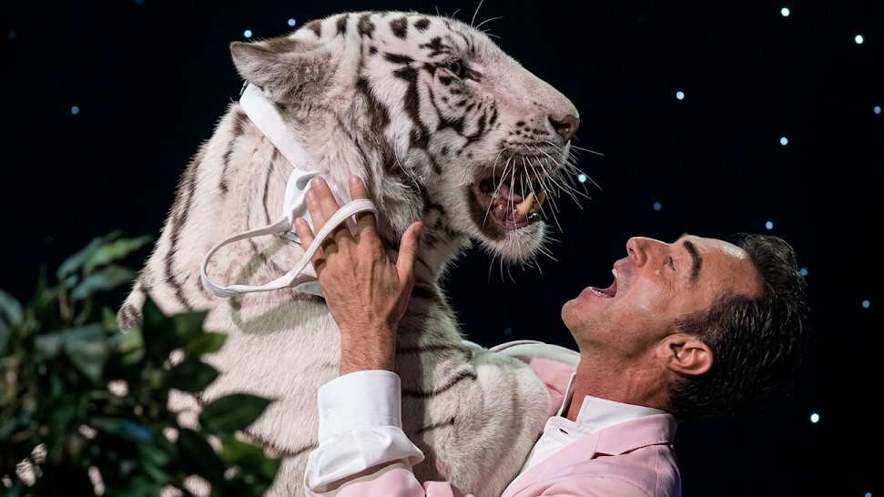 La tigre bianca di 172 kg gli ha morso il collo - poi lo ha trascinato ...