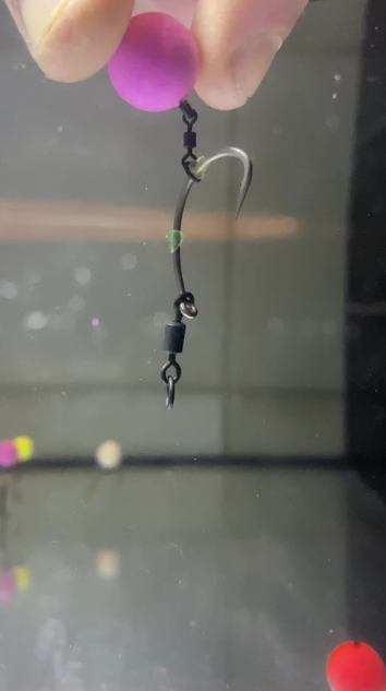 Easy carp rig for big catches