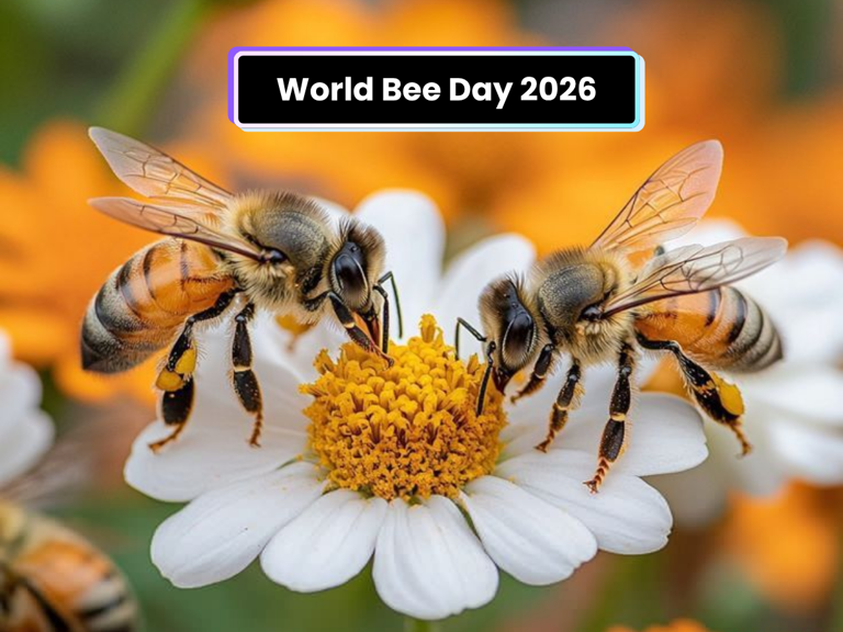 World Bee Day 2026: Why bees matter for India's environment & food ...